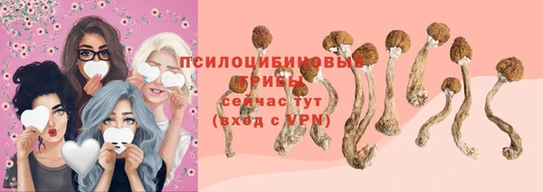 apvp Верея