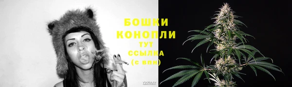 apvp Верея