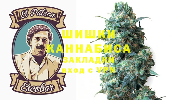 ПСИЛОЦИБИНОВЫЕ ГРИБЫ Верхний Тагил