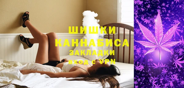 ПСИЛОЦИБИНОВЫЕ ГРИБЫ Верхний Тагил