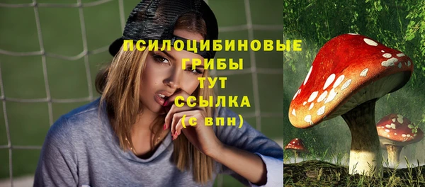 apvp Верея