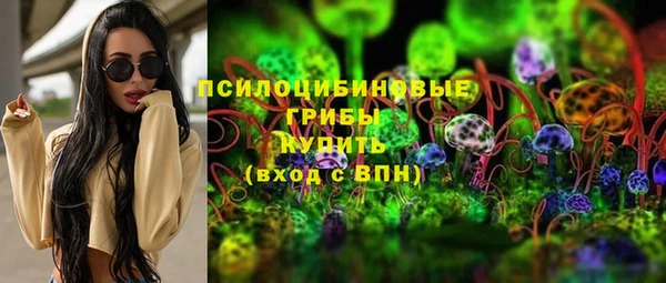 apvp Верея