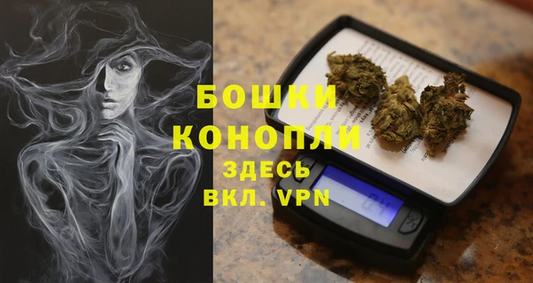 ПСИЛОЦИБИНОВЫЕ ГРИБЫ Верхний Тагил
